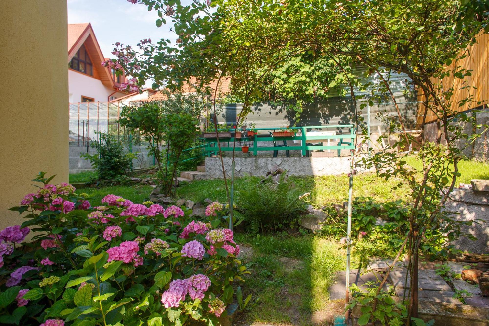 Barok Appart Brasov Bagian luar foto